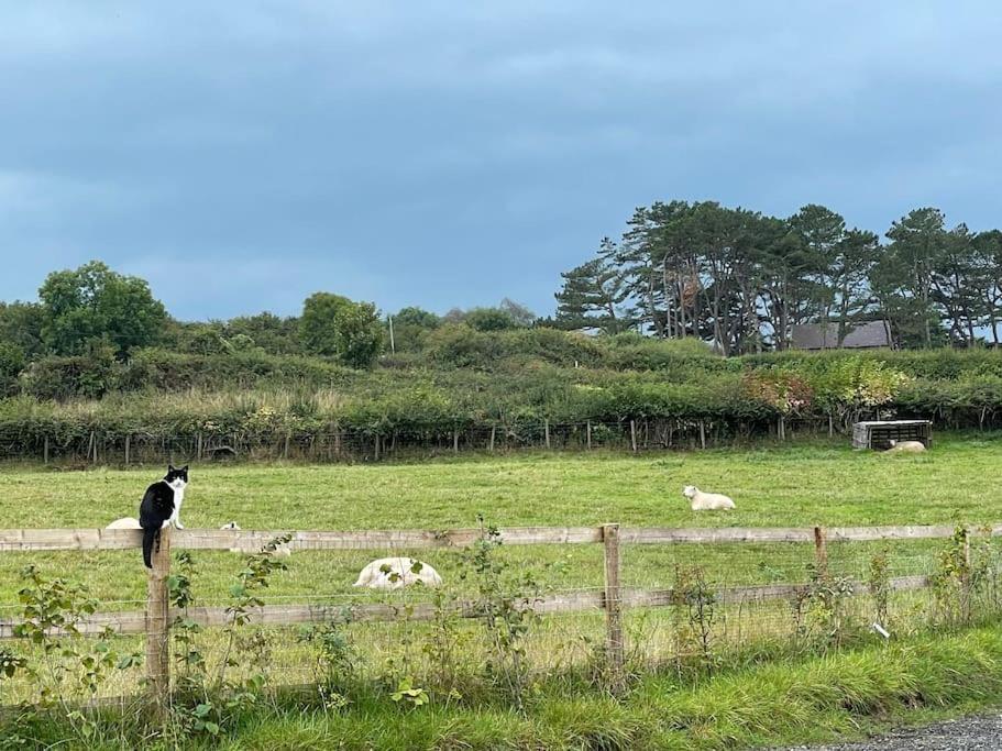 Tranquil, Secluded, Rural Cottage For Two Beaumaris Bagian luar foto